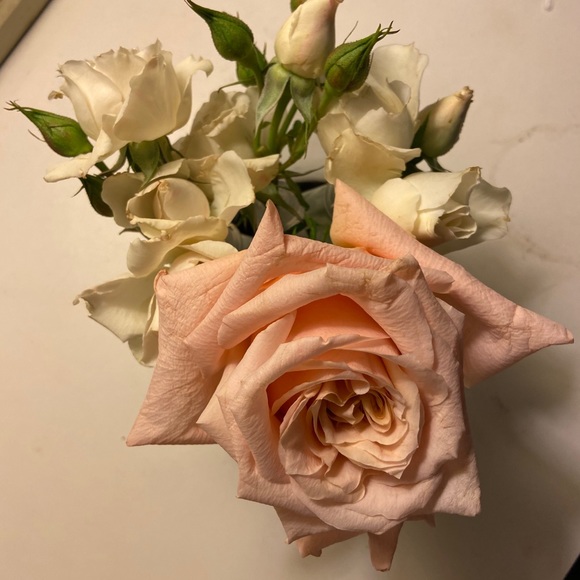 🚫EXPIRED🚫 FOLLOW GAME #15 - Picture 9 of 10